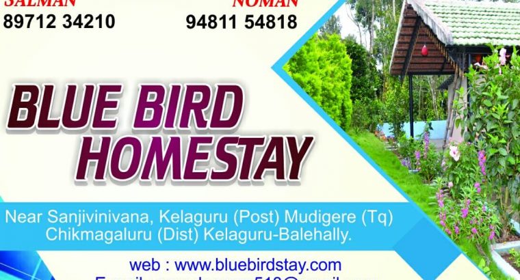 BLUE BIRD HOMESTAY