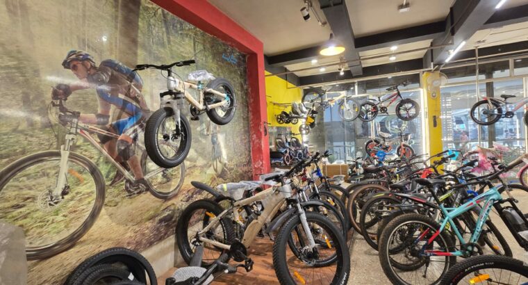 SENIOR CYCLE & CO.