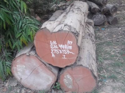 INDIAN WOOD INDUSTRIES DHARWAD