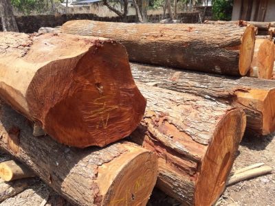 NEW SAFA WOOD INDUSTRIES