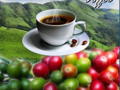 PANDURANGA COFFEE WORKS