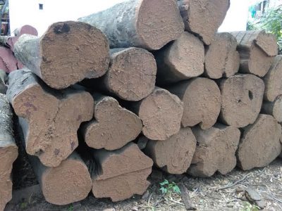 SHRI AMBA VIJAY SAW MILL & TIMBER DEPOT
