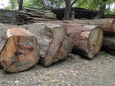 HOSPET SAW MILL
