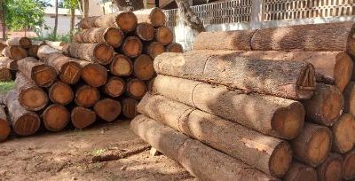 SHRI BALAJI TIMBER MART HUBLI