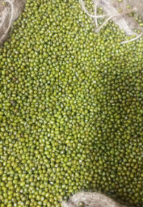 SHRI PANCHALINGESHWAR INDUSTRIES GADAG