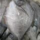 KHWAJAMEER FISH MERCHANT DHARWAD