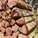 INDIAN WOOD INDUSTRIES