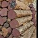 INDIAN WOOD INDUSTRIES