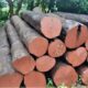 INDIAN WOOD INDUSTRIES