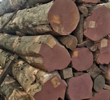 INDIAN WOOD INDUSTRIES