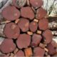 INDIAN WOOD INDUSTRIES