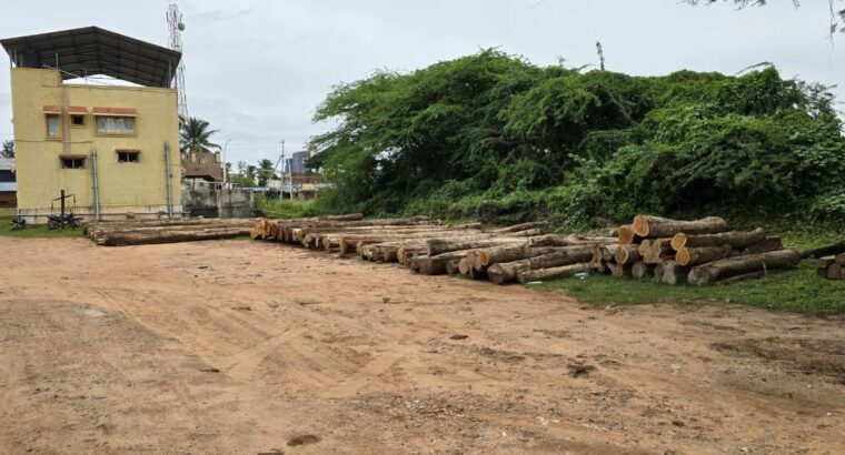 RAJENDRA TIMBER TRADERS