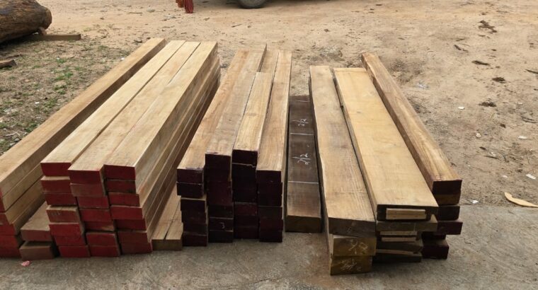 RAJENDRA TIMBER TRADERS