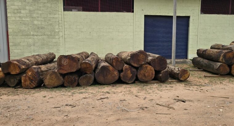 RAJENDRA TIMBER TRADERS