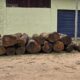 RAJENDRA TIMBER TRADERS