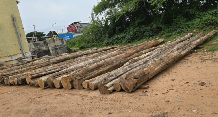 RAJENDRA TIMBER TRADERS