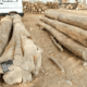 SHRI HARIKRISHNA SAW MILL