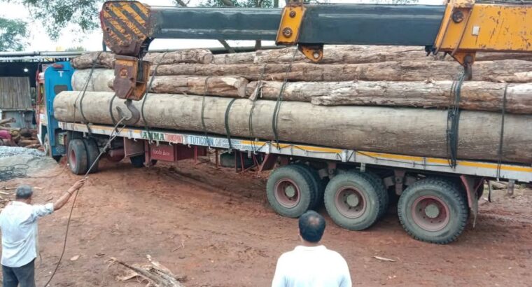 SRI SIDDALINGESHWARA SAW MILL