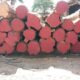 SRI SIDDALINGESHWARA SAW MILL
