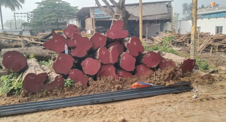 SRI SIDDALINGESHWARA SAW MILL
