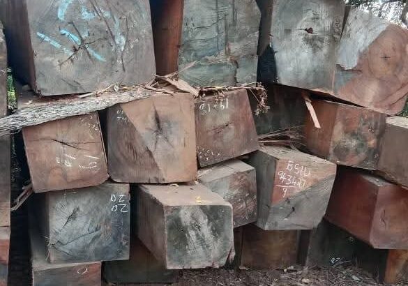 SRI SIDDALINGESHWARA SAW MILL