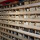 RAJARAM PIPE FITTING CENTRE