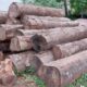 SHARADA TIMBERS MART HUBLI