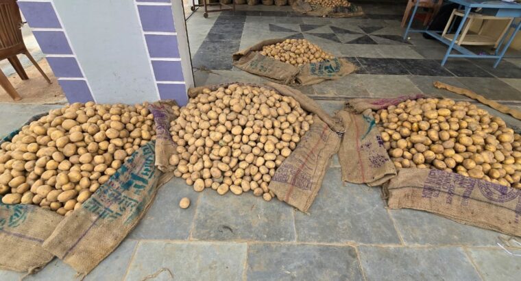 HAYAT TRADERS HUBLI