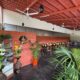 REDMOON HOMESTAY CHIKMAGALUR