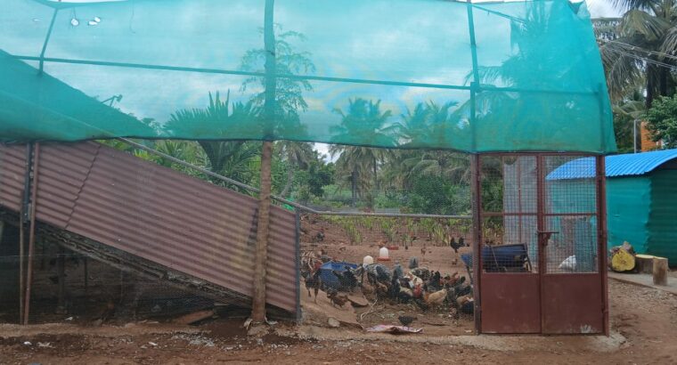 S.N.S. FARMS BY SAIF BRO’S CO. LTD CHIKMAGALUR
