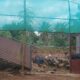 S.N.S. FARMS BY SAIF BRO’S CO. LTD CHIKMAGALUR