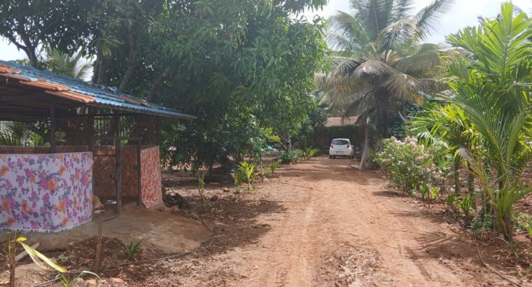 S.N.S. FARMS BY SAIF BRO’S CO. LTD CHIKMAGALUR