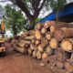 NEW LAXMI VIJAY SAW MILL HUBLI