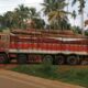 ROYAL WOOD CHIKMAGALUR