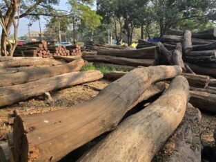 AHAMED WOOD INDUSTRIES ALNAVAR