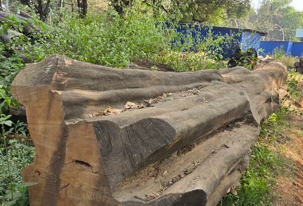 AHAMED WOOD INDUSTRIES ALNAVAR