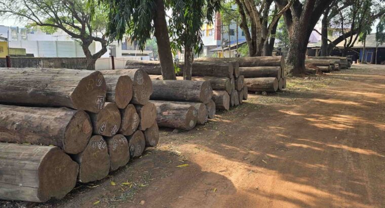 SHRI HARIKRISHNA SAW MILL ALNAVAR