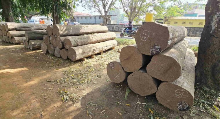 SHRI HARIKRISHNA SAW MILL ALNAVAR