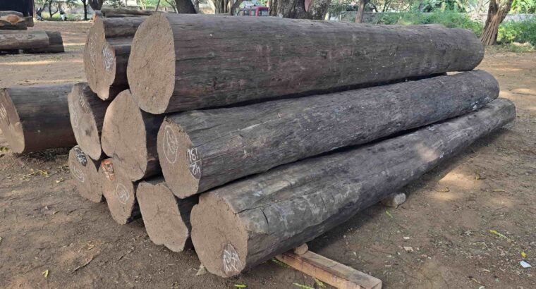 SHRI HARIKRISHNA SAW MILL ALNAVAR