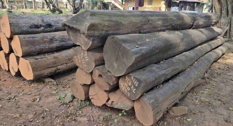 SHRI HARIKRISHNA SAW MILL ALNAVAR