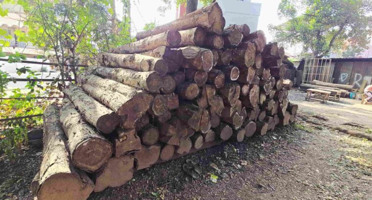 SHRI HARIKRISHNA SAW MILL ALNAVAR