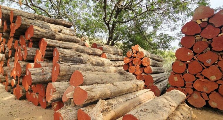 DANDELI WOOD INDUSTRIES ALNAVAR