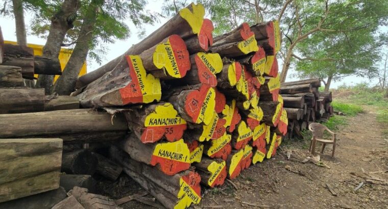 DANDELI WOOD INDUSTRIES ALNAVAR