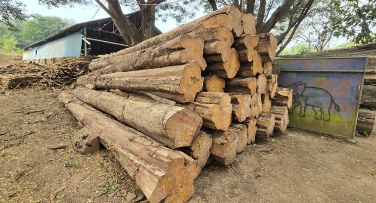 DANDELI WOOD INDUSTRIES ALNAVAR