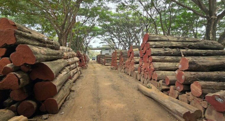 DANDELI WOOD INDUSTRIES ALNAVAR