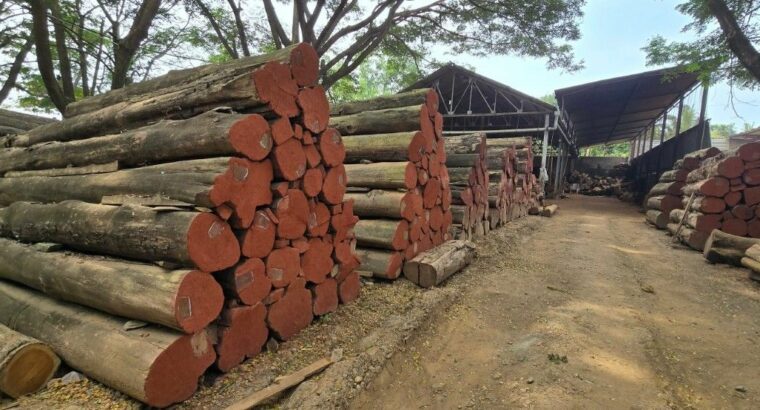 DANDELI WOOD INDUSTRIES ALNAVAR