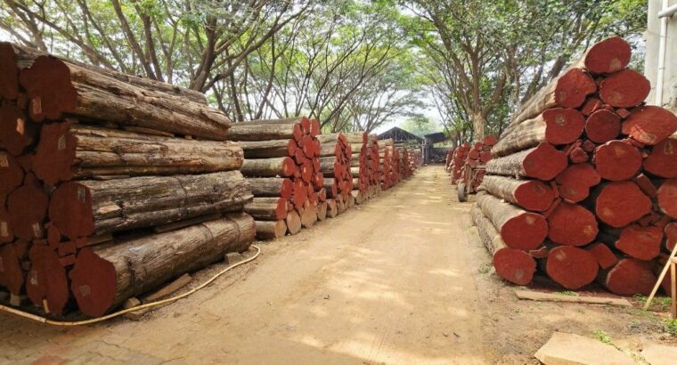 DANDELI WOOD INDUSTRIES ALNAVAR