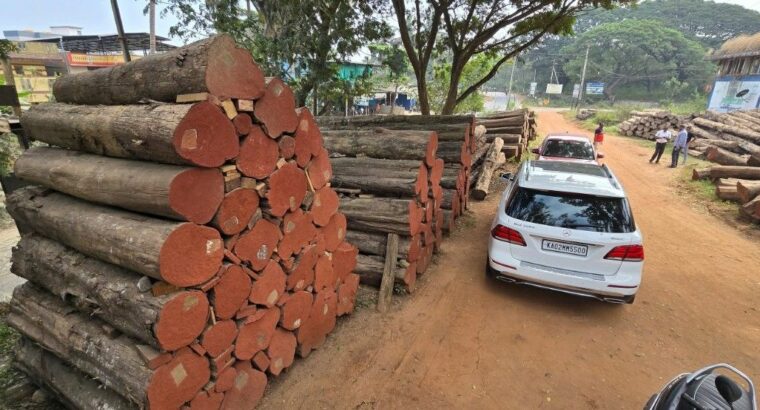 DANDELI WOOD INDUSTRIES ALNAVAR