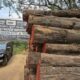 DANDELI WOOD INDUSTRIES ALNAVAR