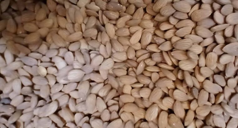 HARI OM TRADERS CHIKMAGALUR